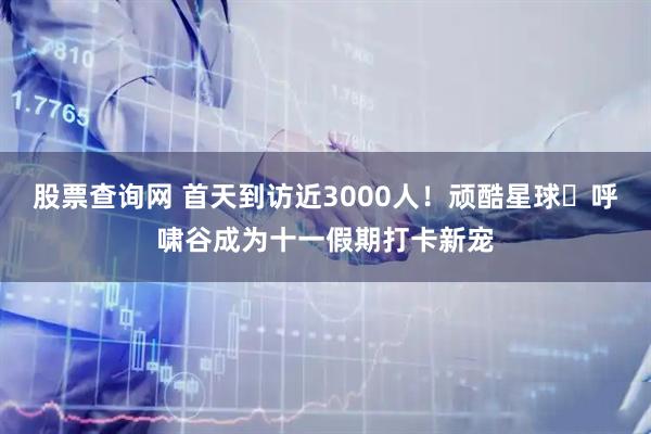 股票查询网 首天到访近3000人！顽酷星球・呼啸谷成为十一假期打卡新宠