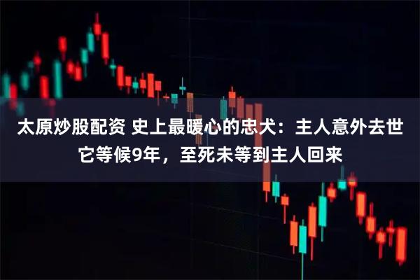 太原炒股配资 史上最暖心的忠犬：主人意外去世它等候9年，至死未等到主人回来