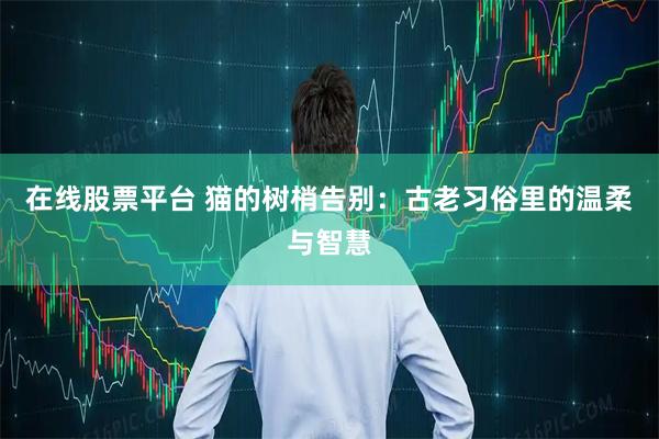 在线股票平台 猫的树梢告别：古老习俗里的温柔与智慧
